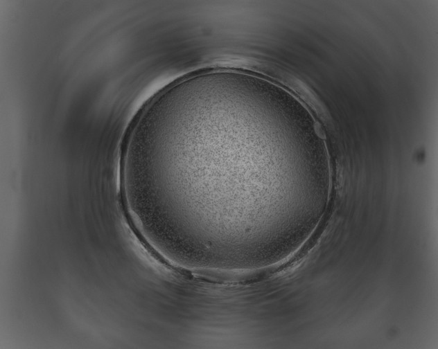 X0000089911036200707060955