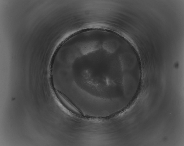 X0000089911037200707060955
