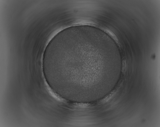 X0000089911039200707060955