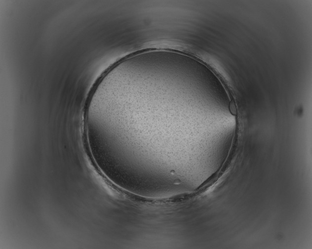 X0000089911040200707060955