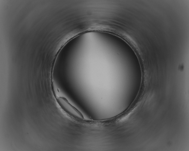 X0000089911041200707060955