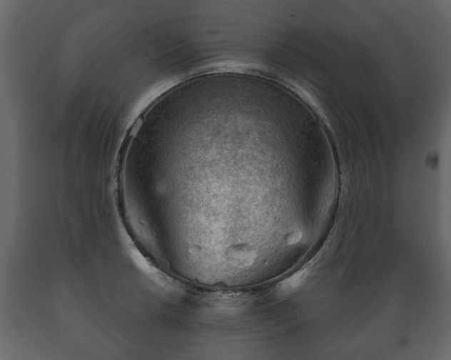 X0000089911042200707060955