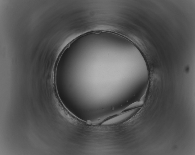 X0000089911044200707060955