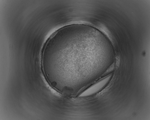 X0000089911046200707060955