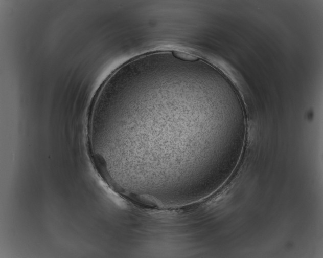 X0000089911048200707060955