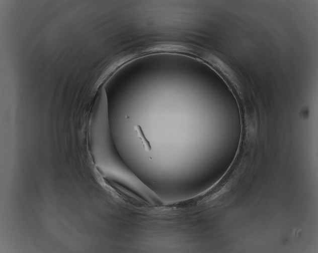 X0000089911049200707060955