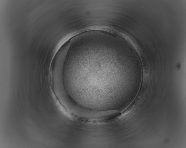 X0000089911050200707060955