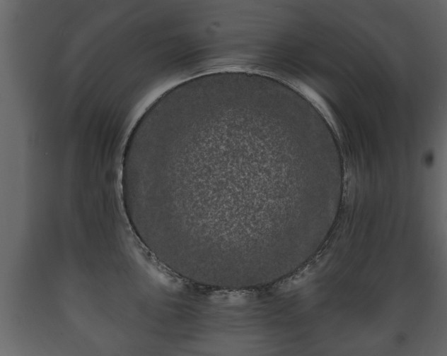X0000089911051200707060955