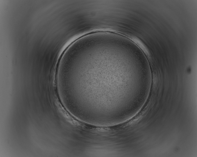 X0000089911052200707060955