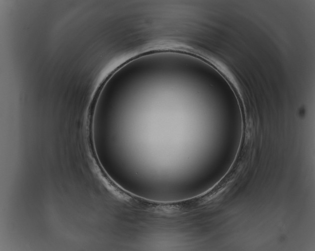 X0000089911053200707060955