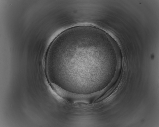X0000089911054200707060955