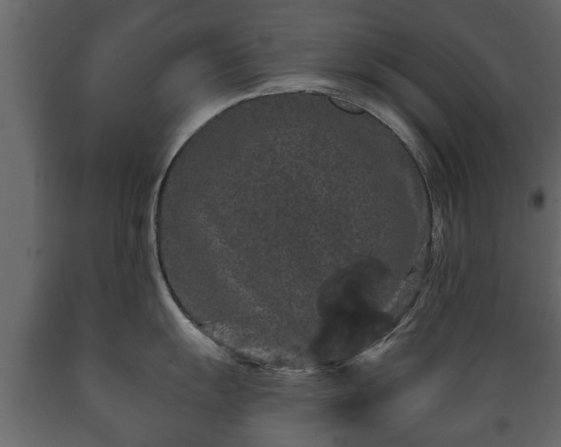 X0000089911055200707060955