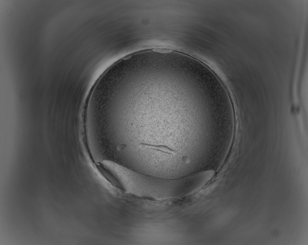 X0000089911056200707060955
