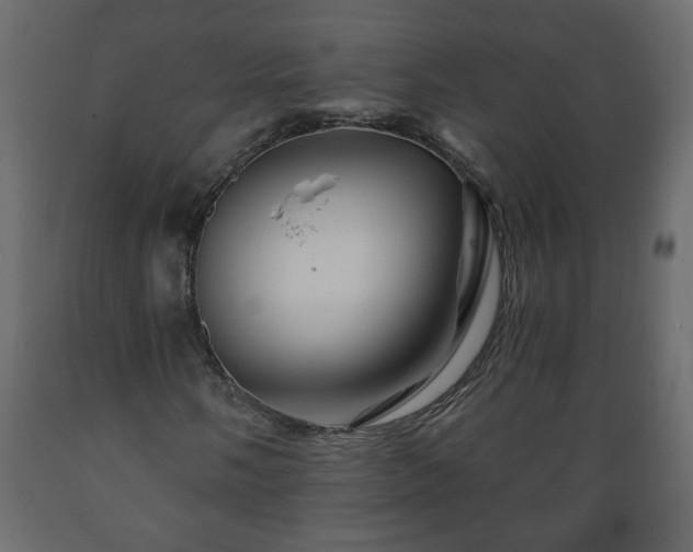 X0000089911058200707060954