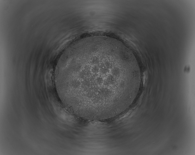 X0000089911059200707060954