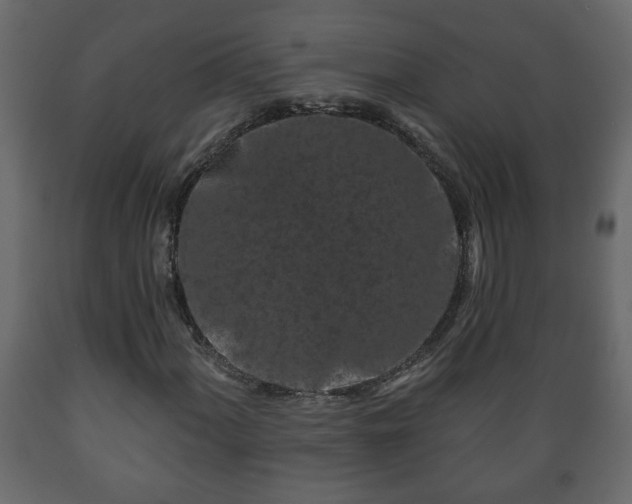 X0000089911060200707060954