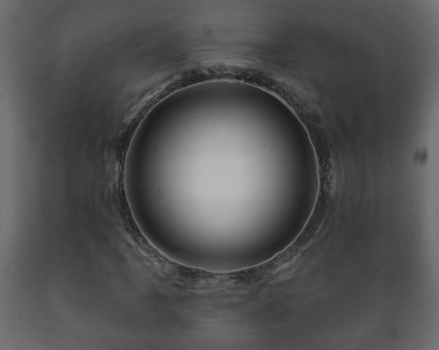 X0000089911061200707060954