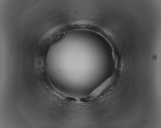 X0000089911062200707060954