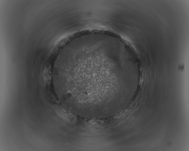 X0000089911063200707060954