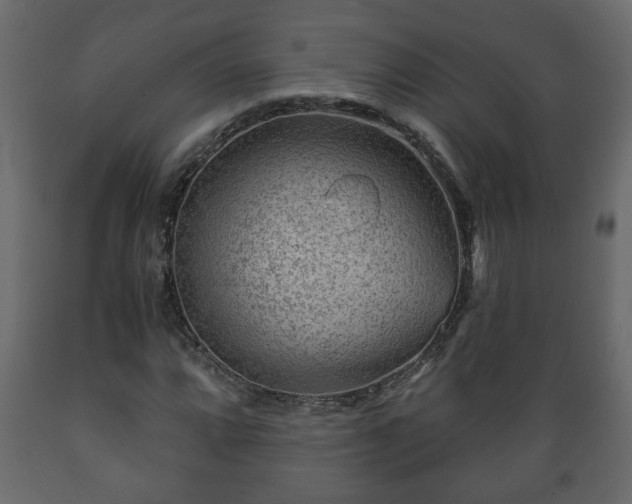X0000089911064200707060954