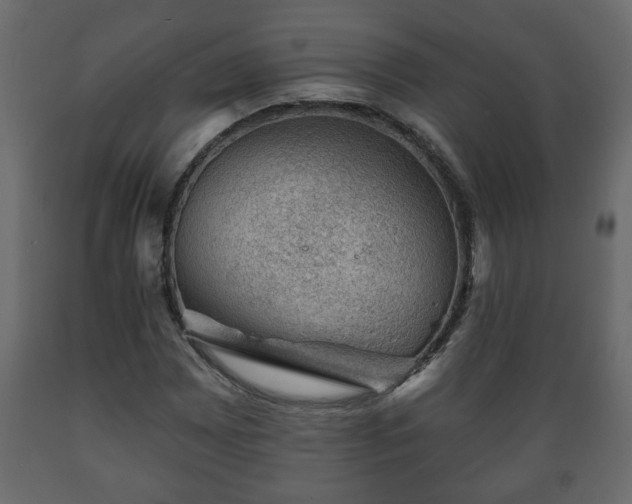 X0000089911065200707060954