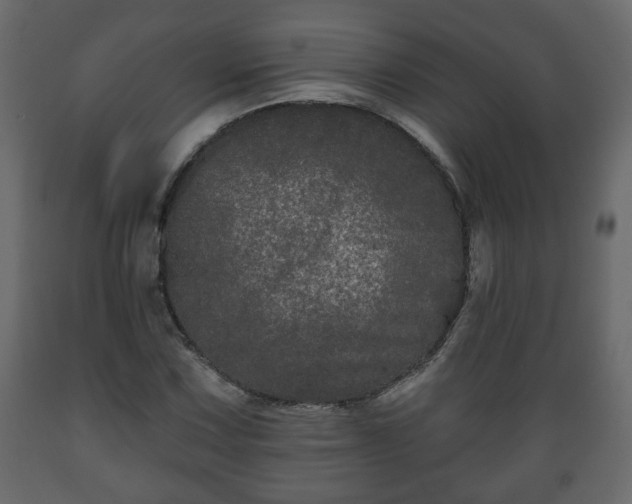 X0000089911067200707060954