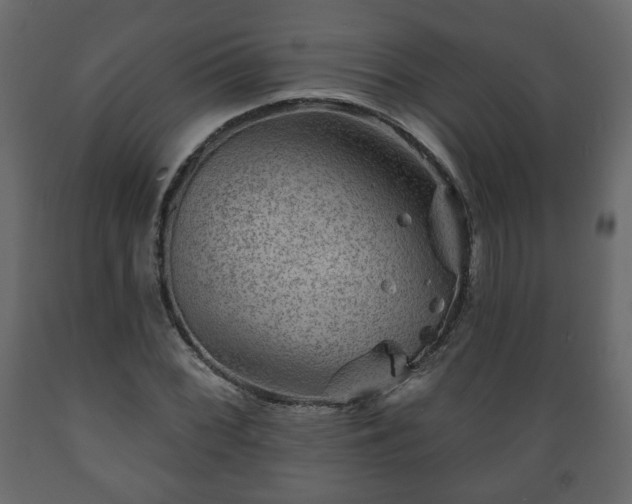 X0000089911068200707060954