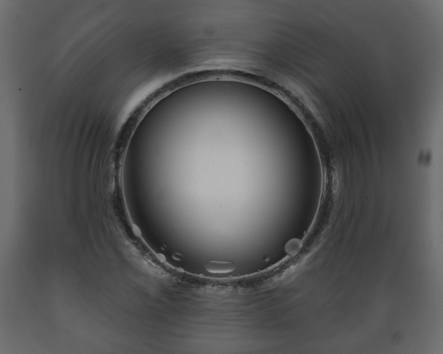 X0000089911069200707060954