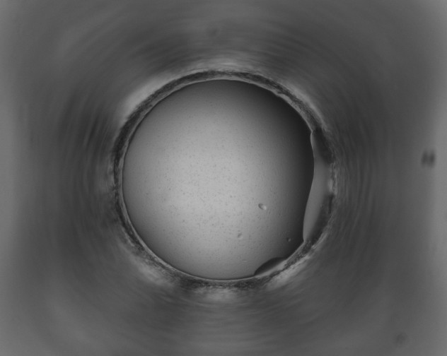 X0000089911070200707060954