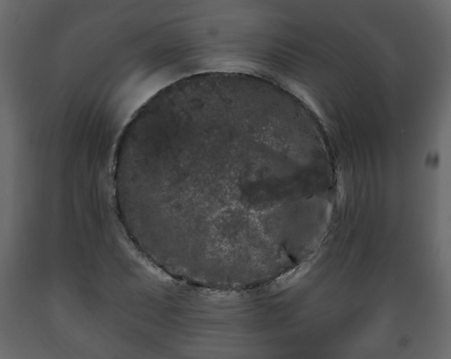 X0000089911071200707060954