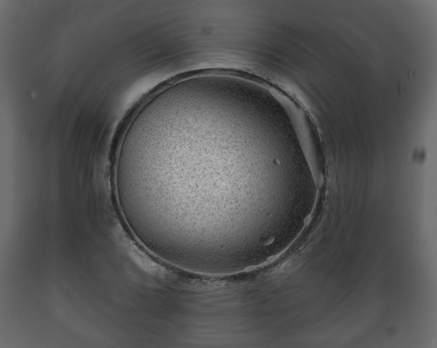 X0000089911072200707060954