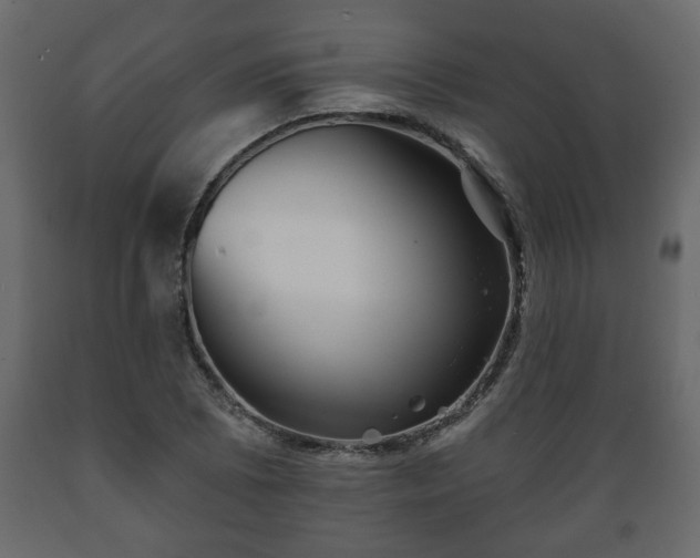 X0000089911073200707060954