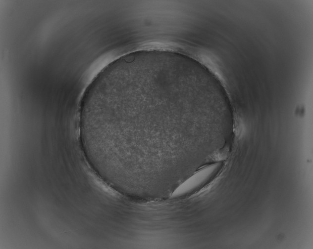 X0000089911075200707060954