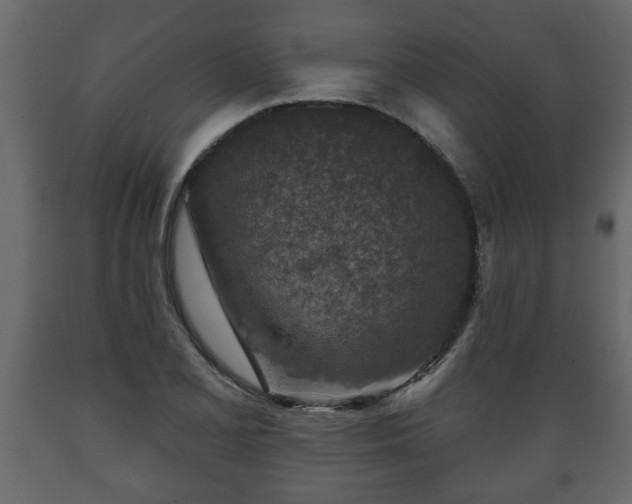 X0000089911077200707060954