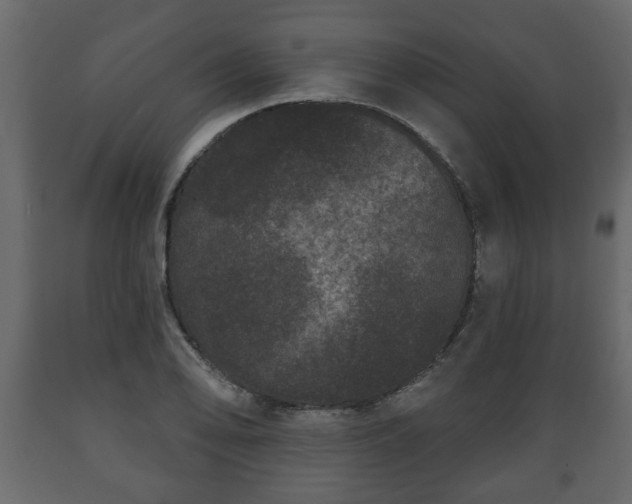 X0000089911078200707060954