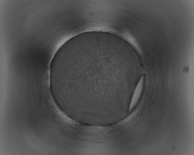 X0000089911079200707060954