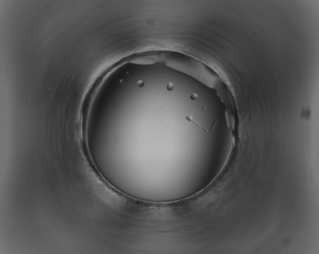 X0000089911080200707060954