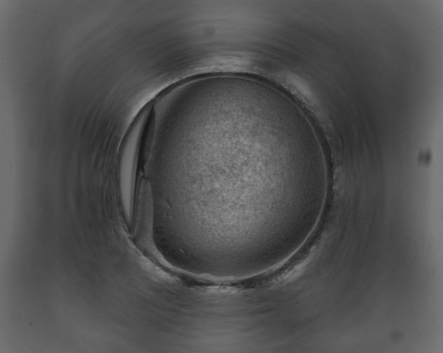 X0000089911081200707060954