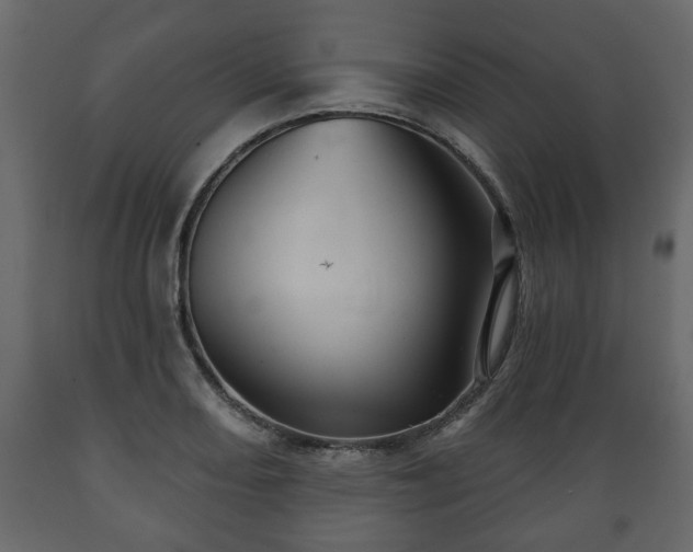 X0000089911082200707060954