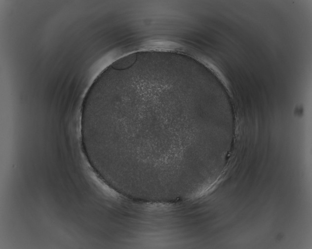 X0000089911083200707060954