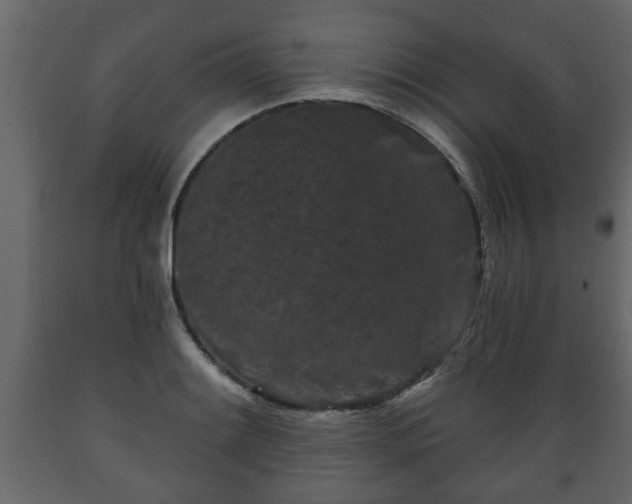 X0000089911084200707060954