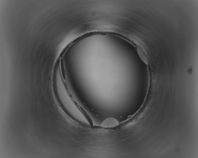 X0000089911085200707060954