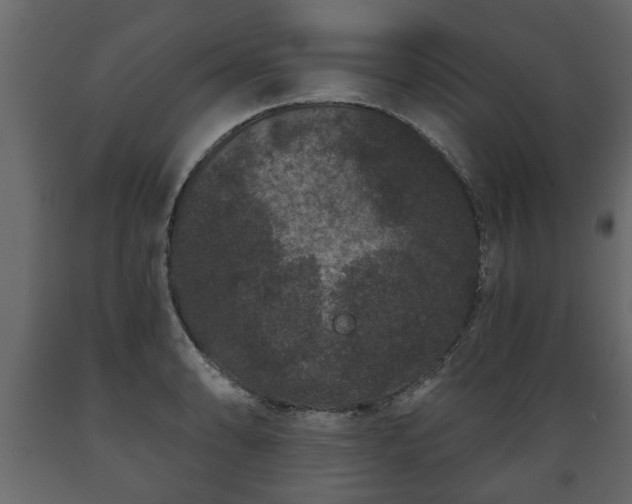 X0000089911086200707060954