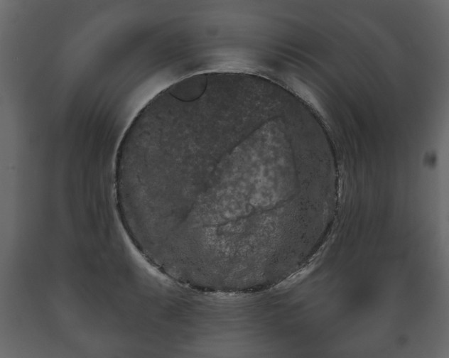 X0000089911087200707060954