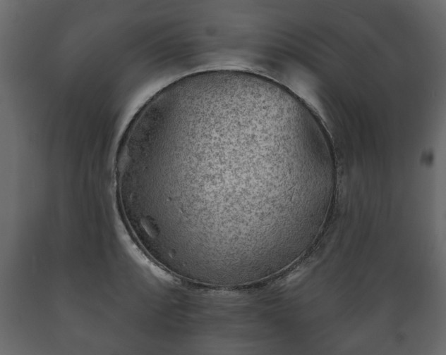 X0000089911088200707060954