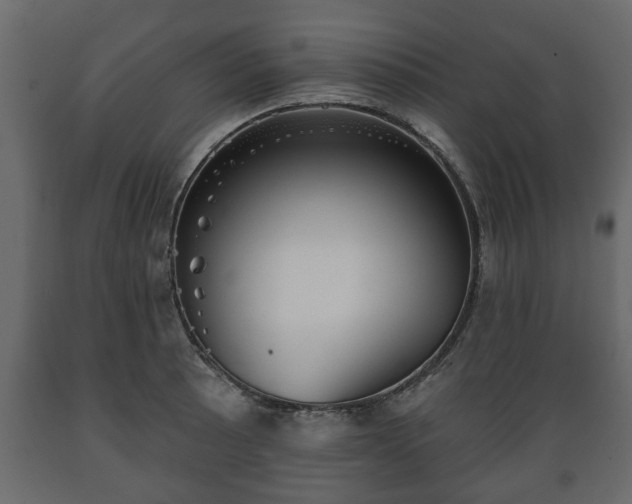 X0000089911089200707060954