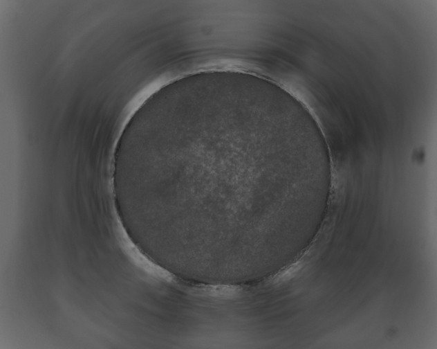 X0000089911090200707060954