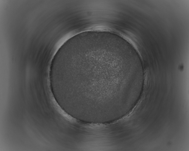 X0000089911091200707060954