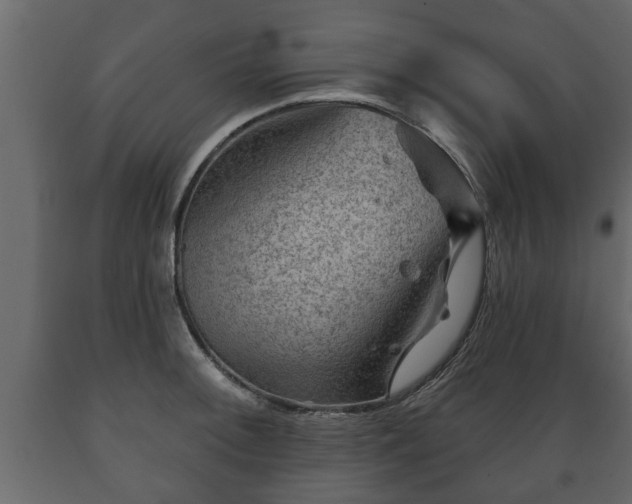 X0000089911092200707060954
