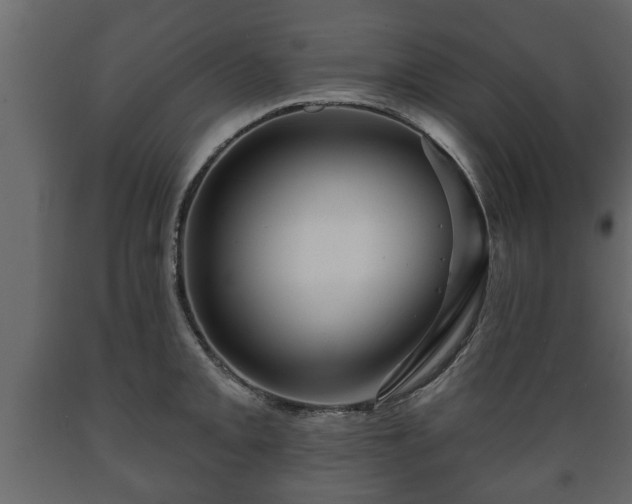 X0000089911093200707060954